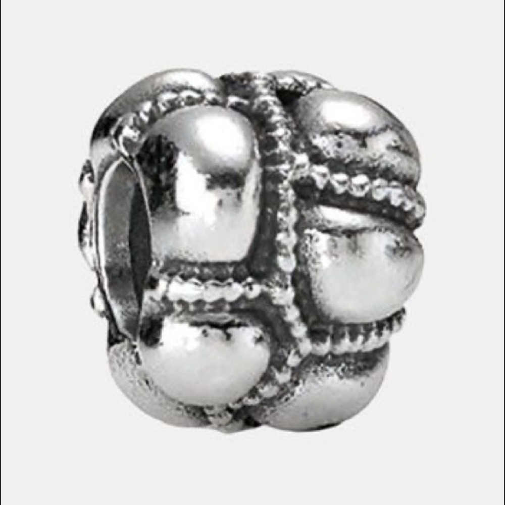 Pandora Your Life’s Path Charm